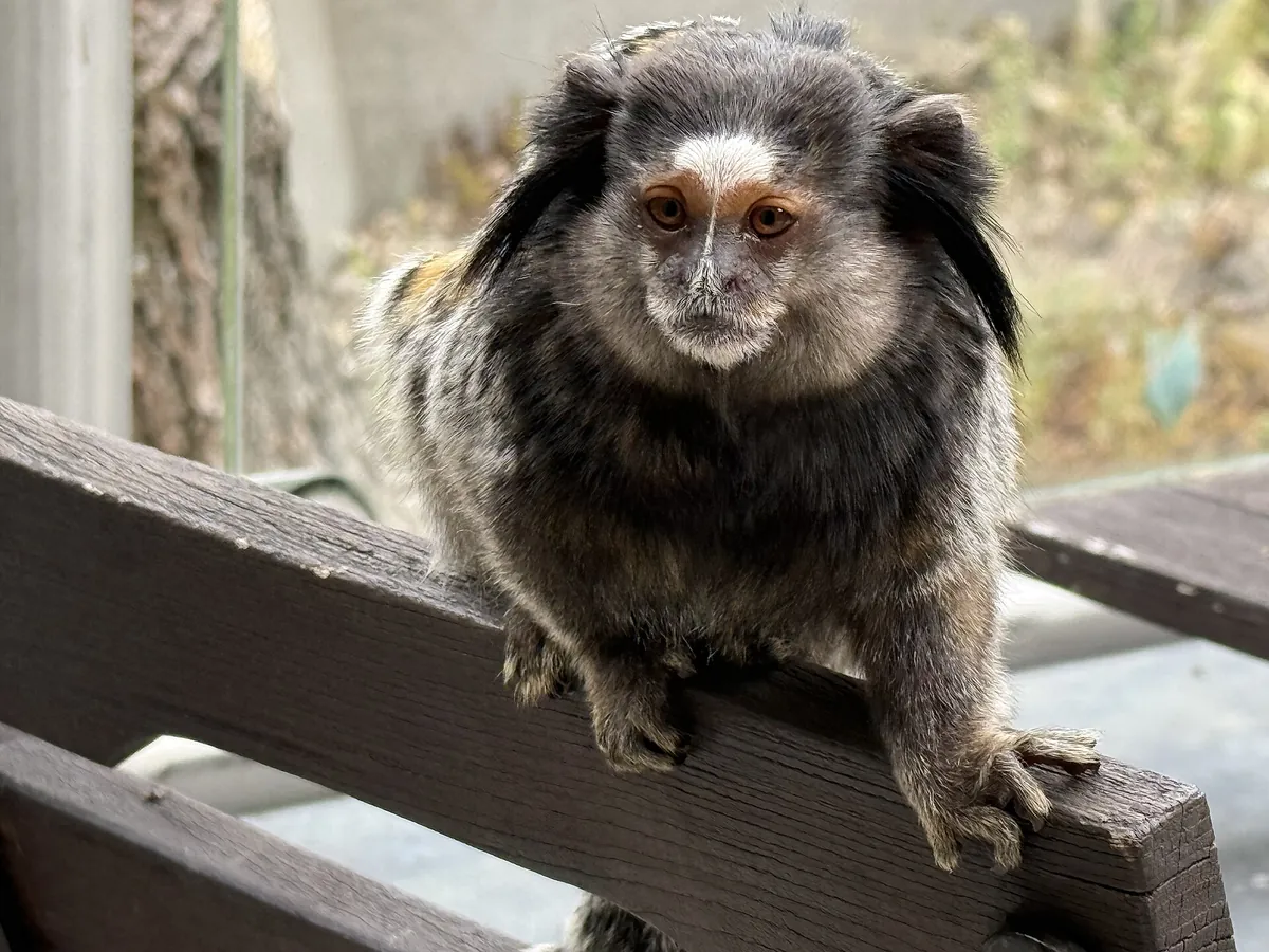 Jihlava Zoo