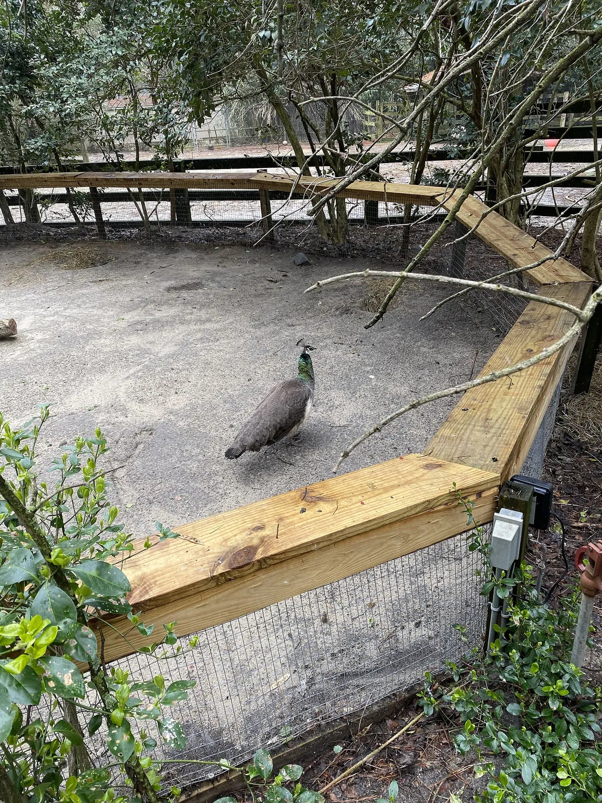 Salisbury Zoo