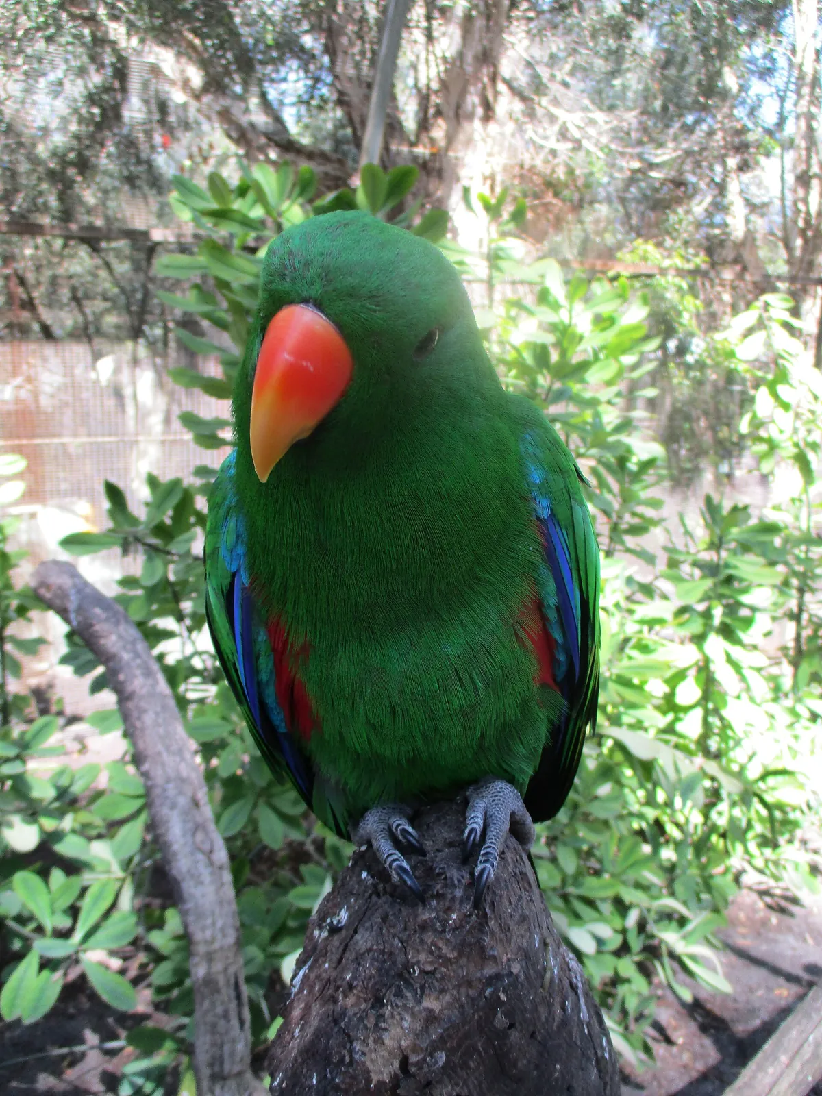 Ranger Red’s Zoo & Conservation Park