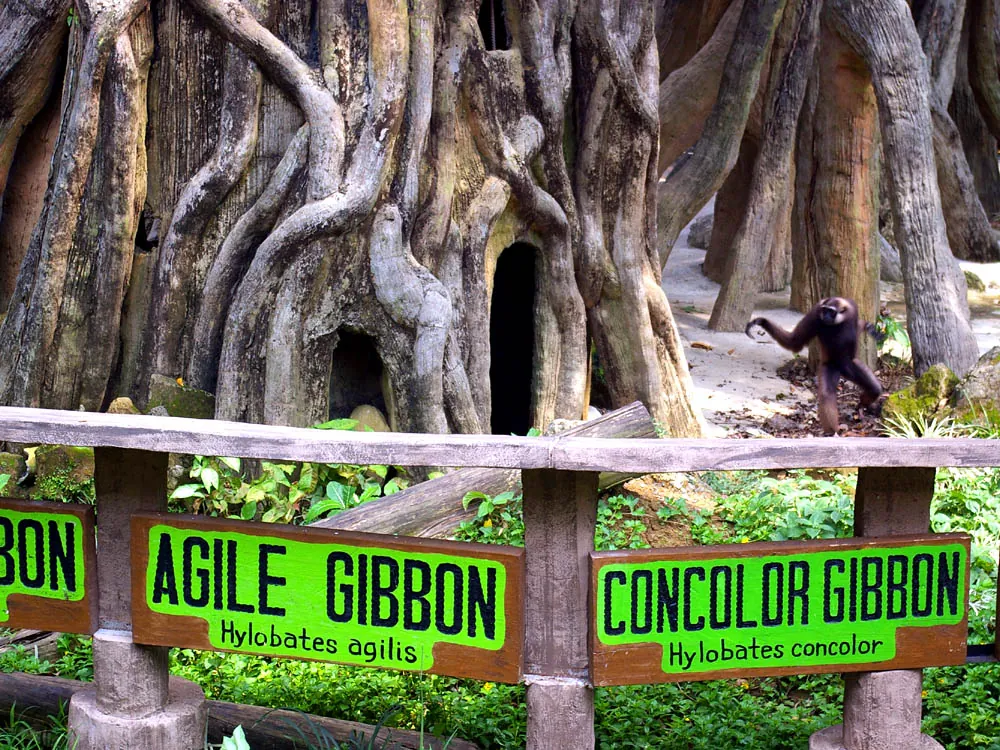 Avilon Zoo