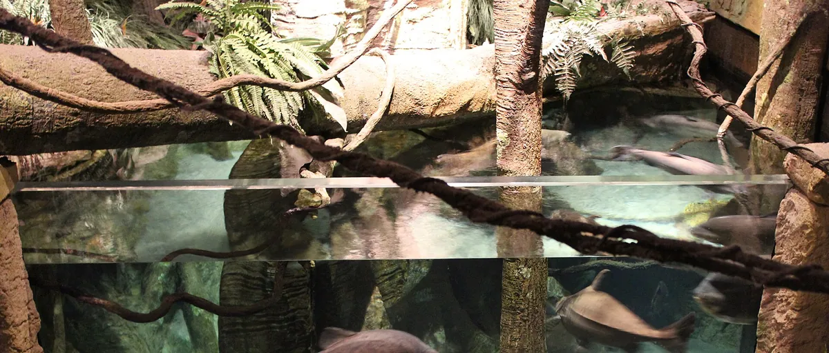 Long Island Aquarium and Exhibition Center