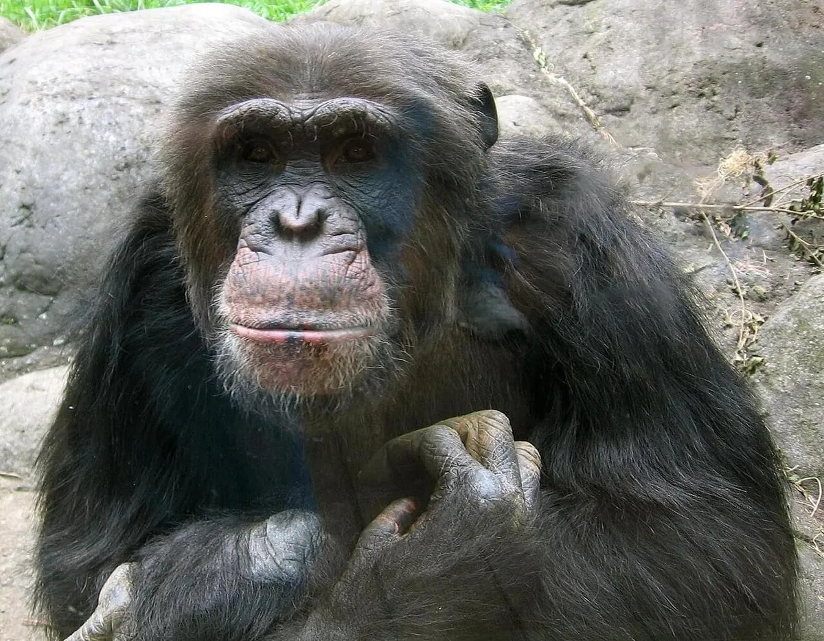 Zoo Knoxville