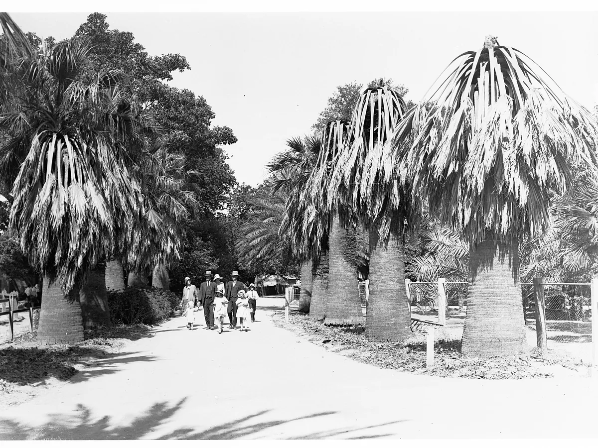 Adelaide Zoo