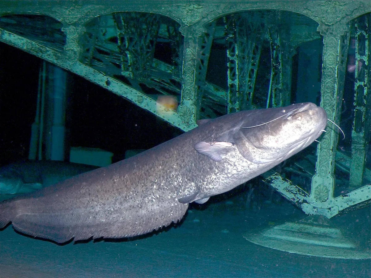 Grand Aquarium de Touraine