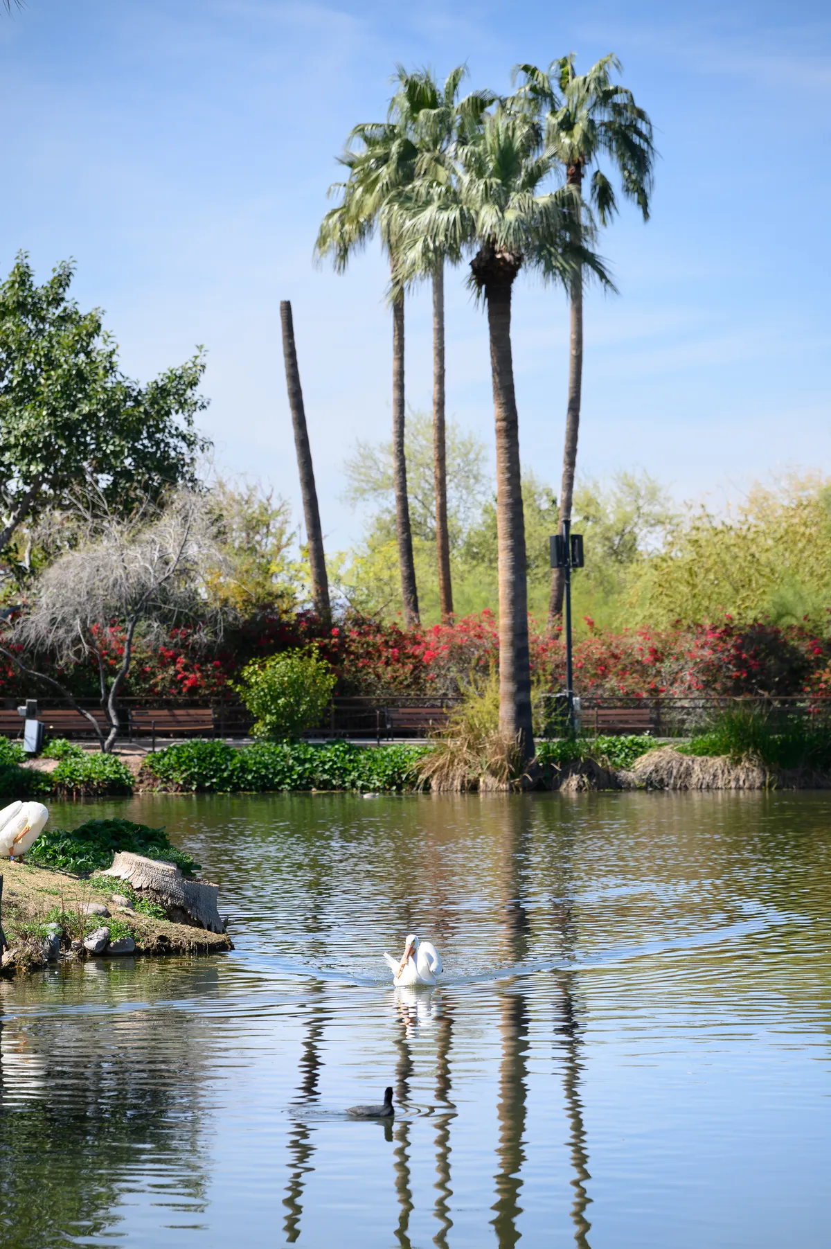 Phoenix Zoo