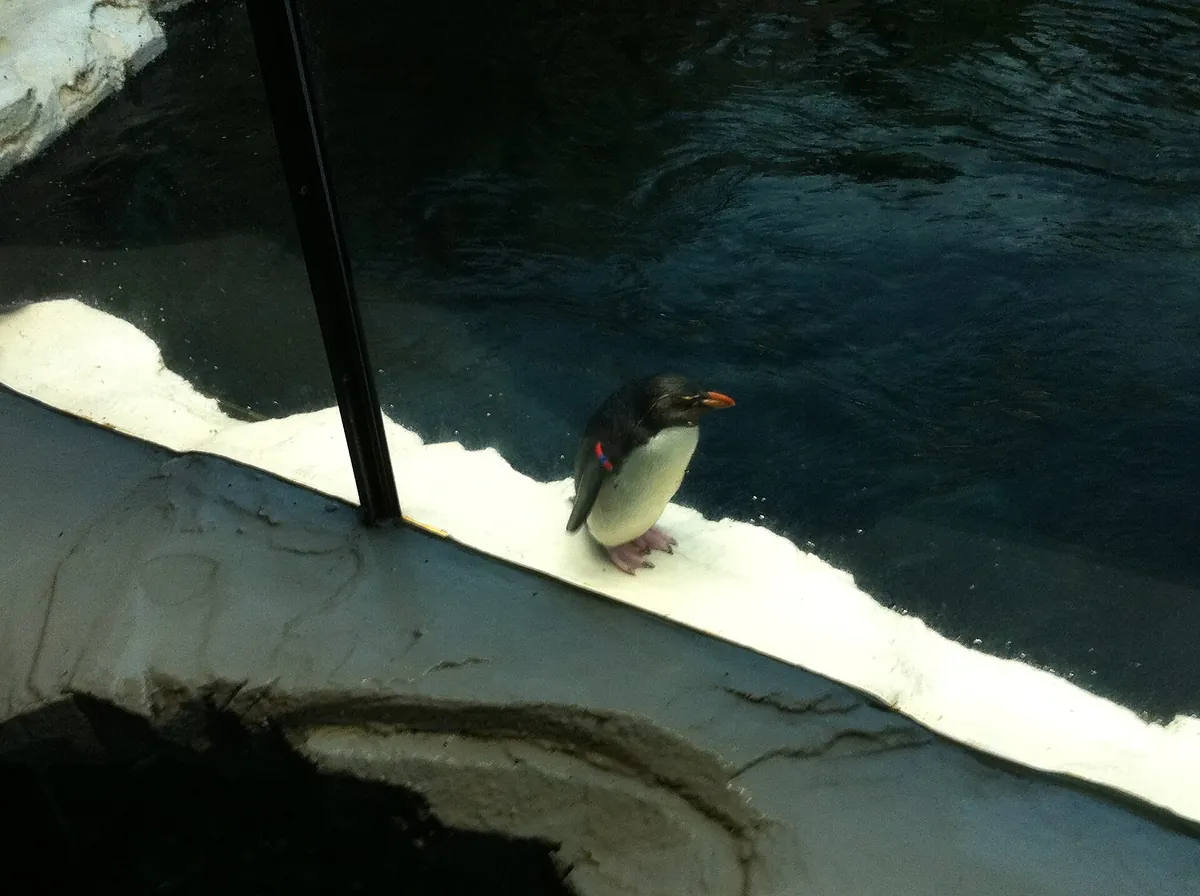 Odense Zoo