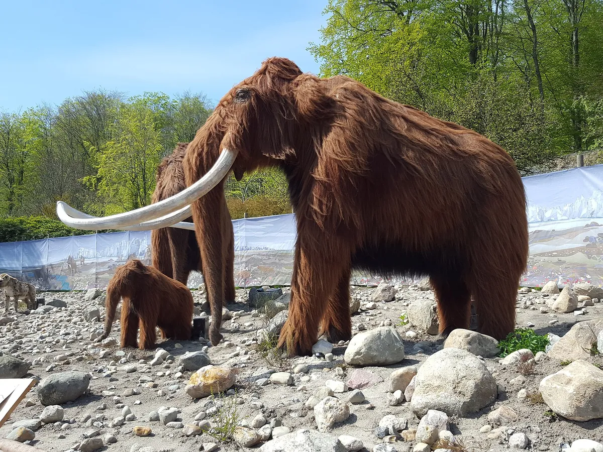 Aalborg Zoo