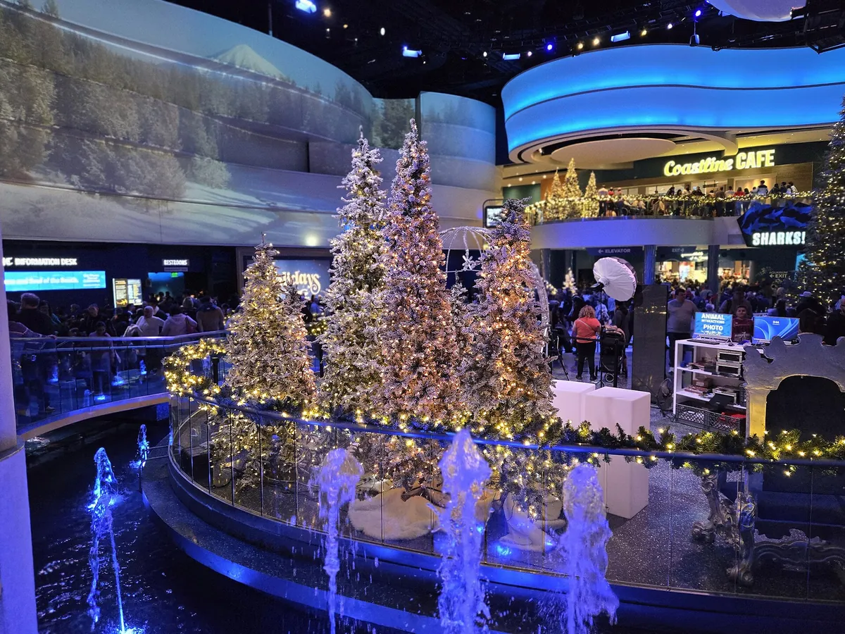 Georgia Aquarium