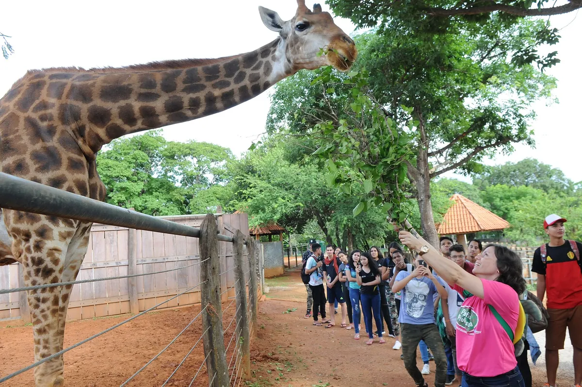 Zoo Brasília