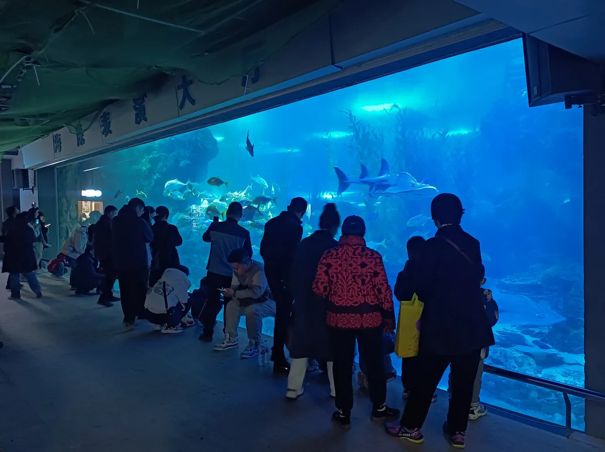 Qingdao Aquarium