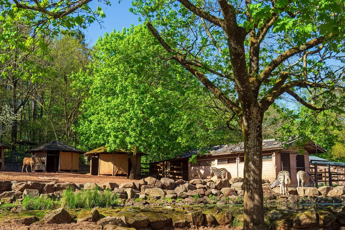 Kaiserslautern Zoo
