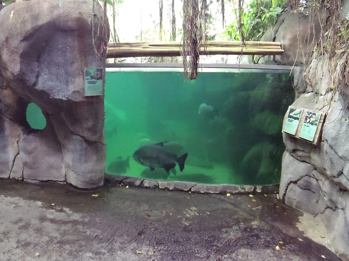 Randers Regnskov, Tropical Zoo