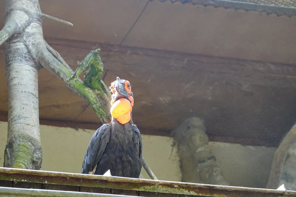 Vogelpark Turnersee
