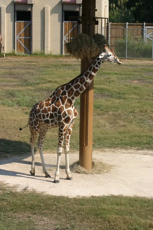 Frank Buck Zoo