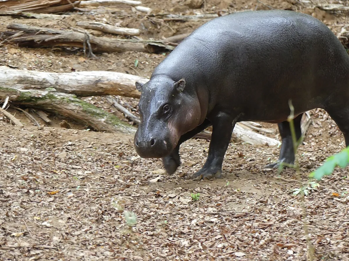 Réserve Zoologique de Calviac