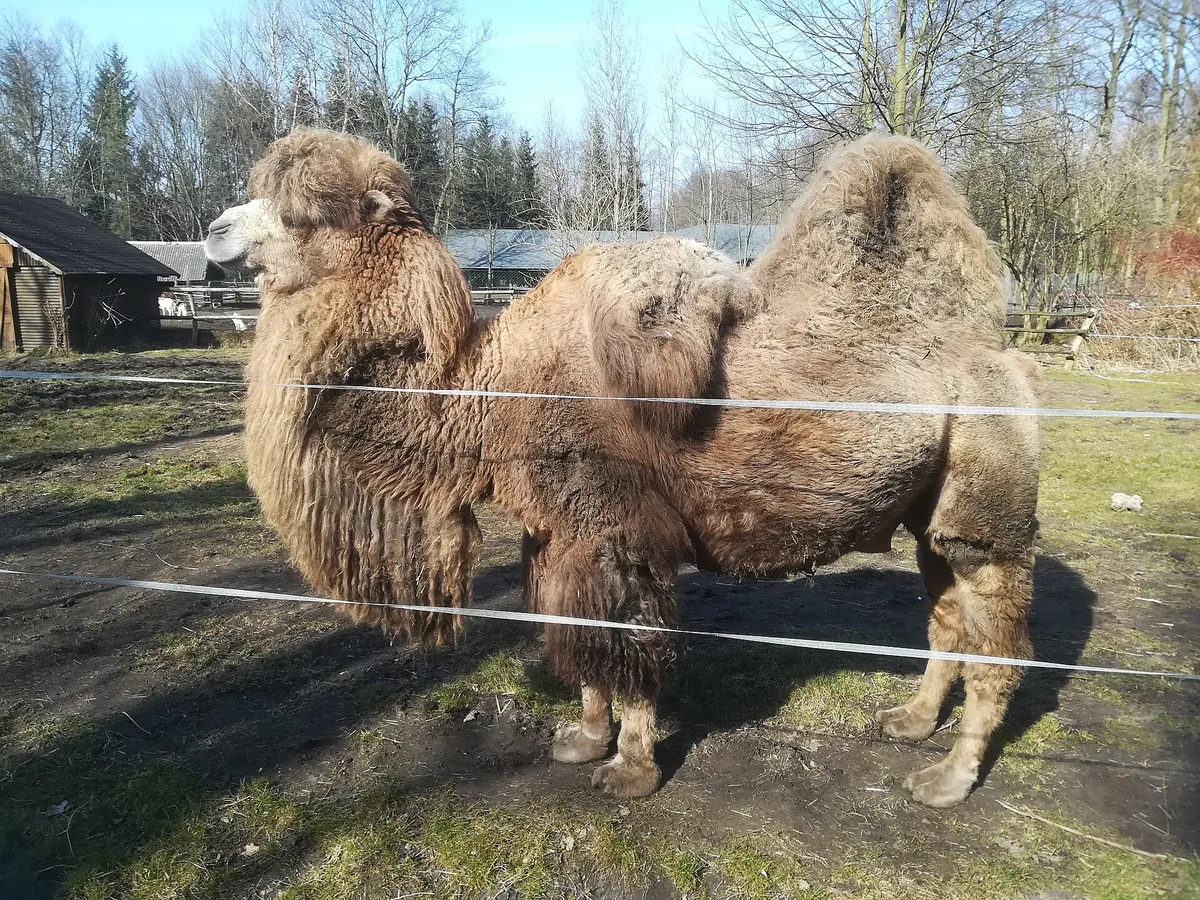 Zoo Nowy Tomyśl