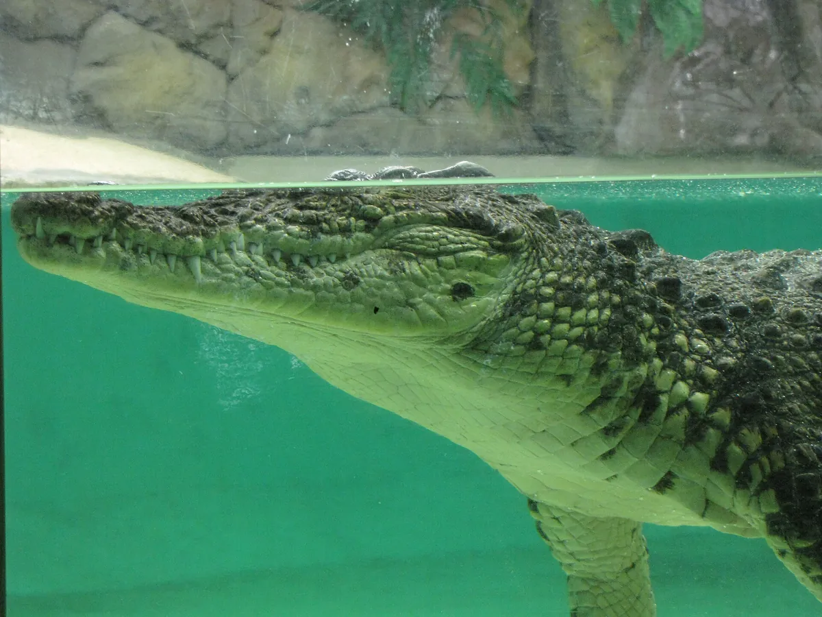 Tropicario