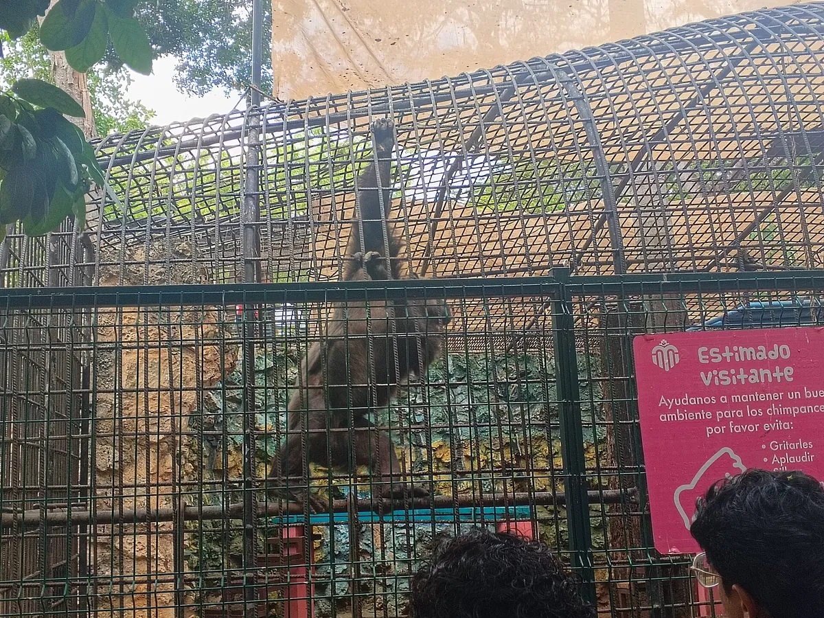 Parque del Centenario