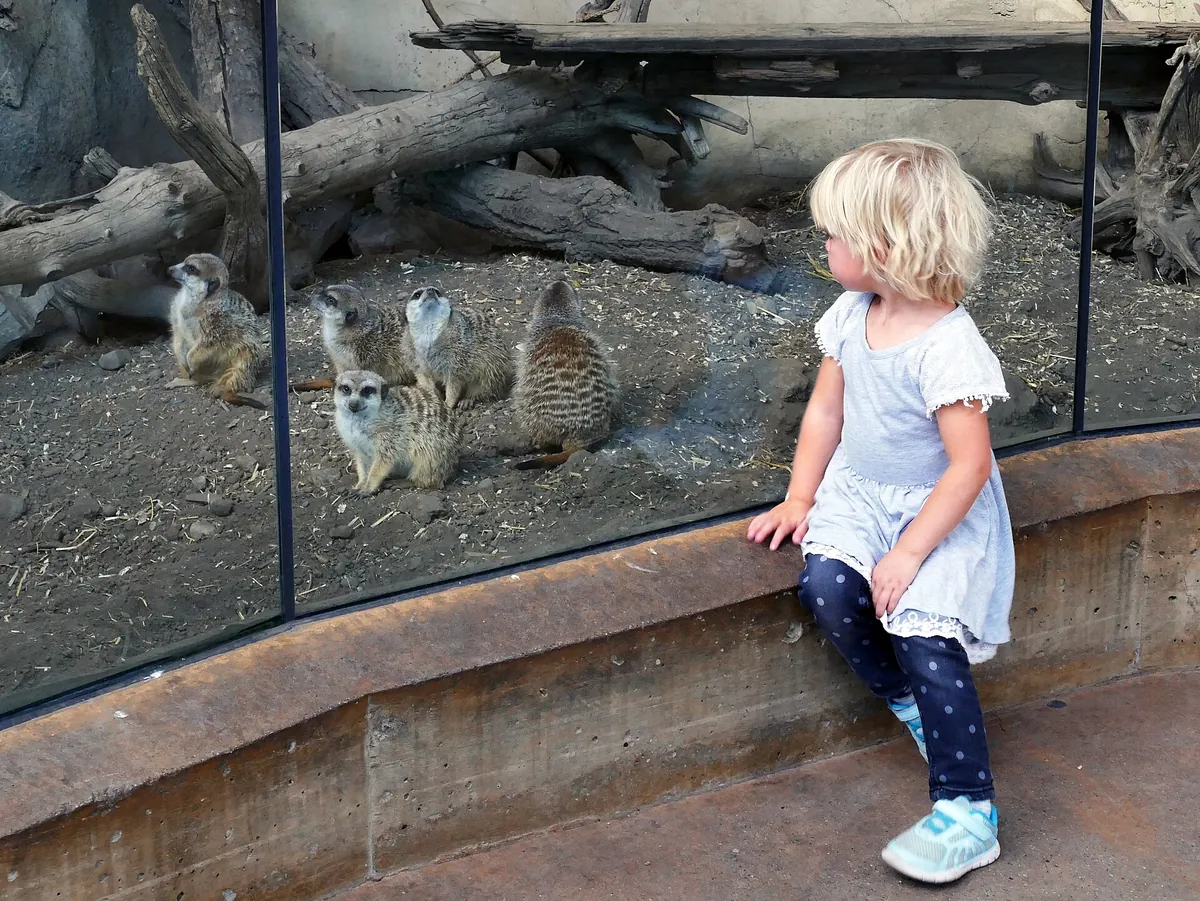 Wilder Institute/Calgary Zoo