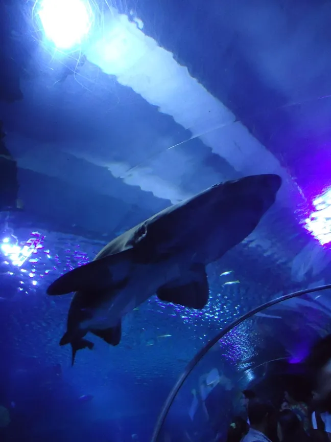 Aquaria KLCC