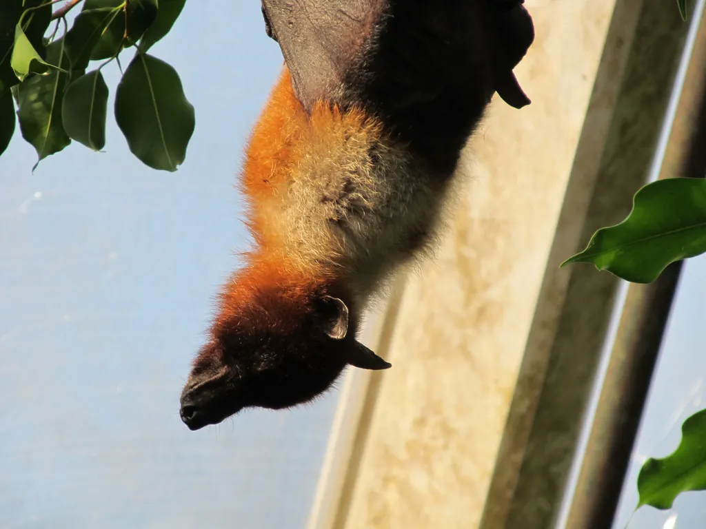 Topeka Zoo and Conservation Center