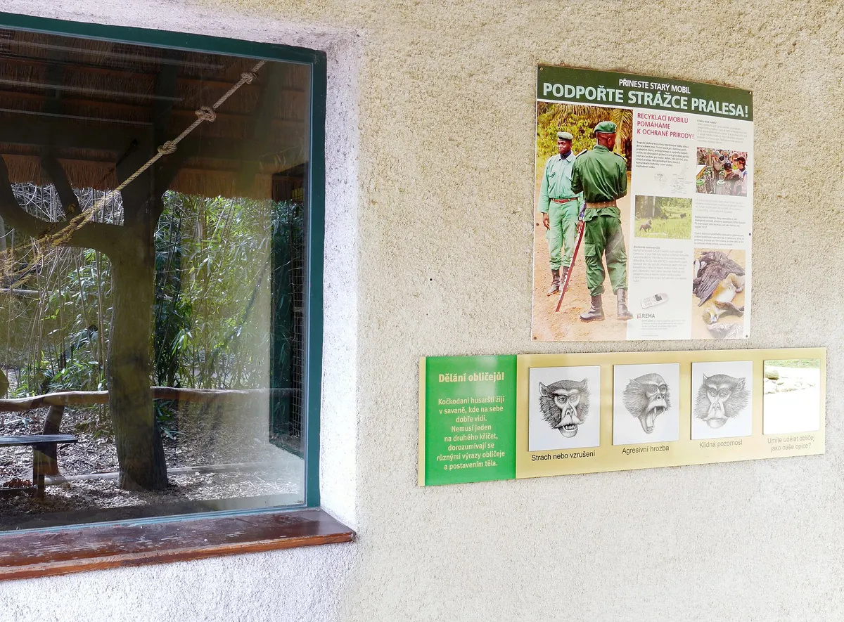 Zoo Hluboká