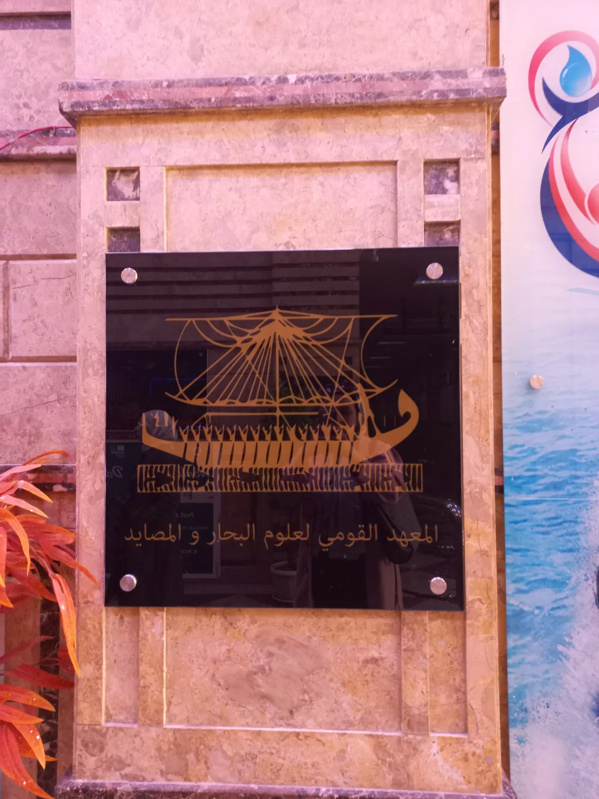 Alexandria Aquarium