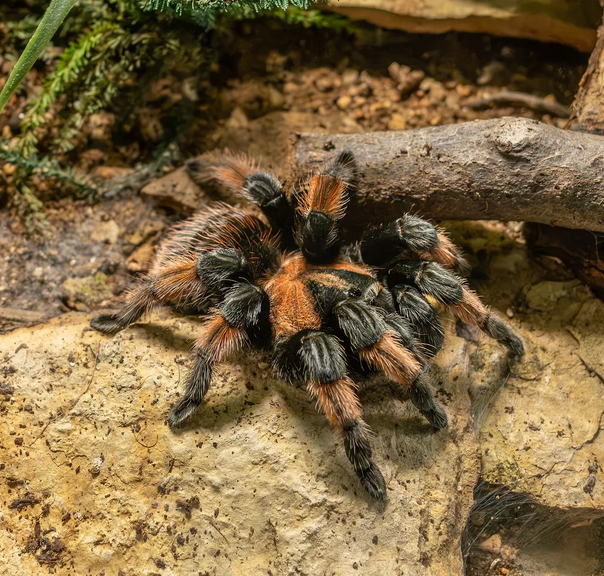 Exotarium Oberhof