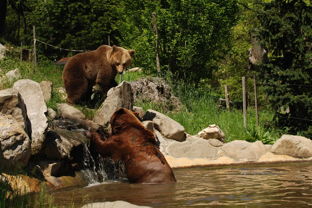 Zoo di Pistoia
