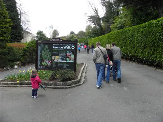Belfast Zoo