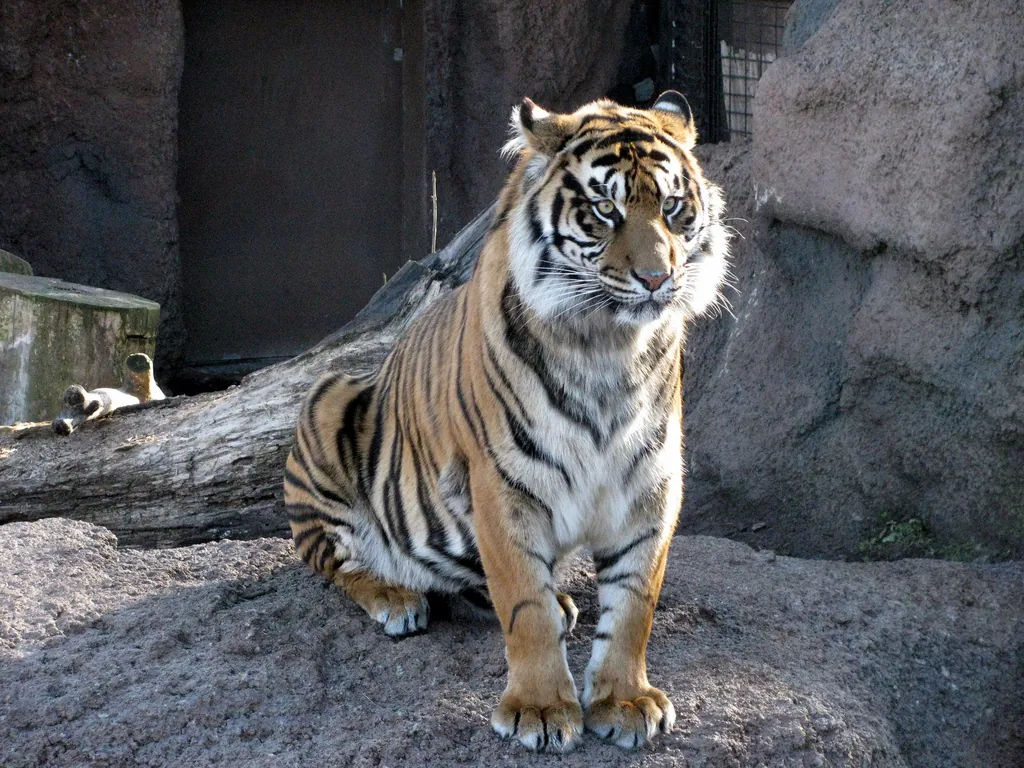 Topeka Zoo and Conservation Center