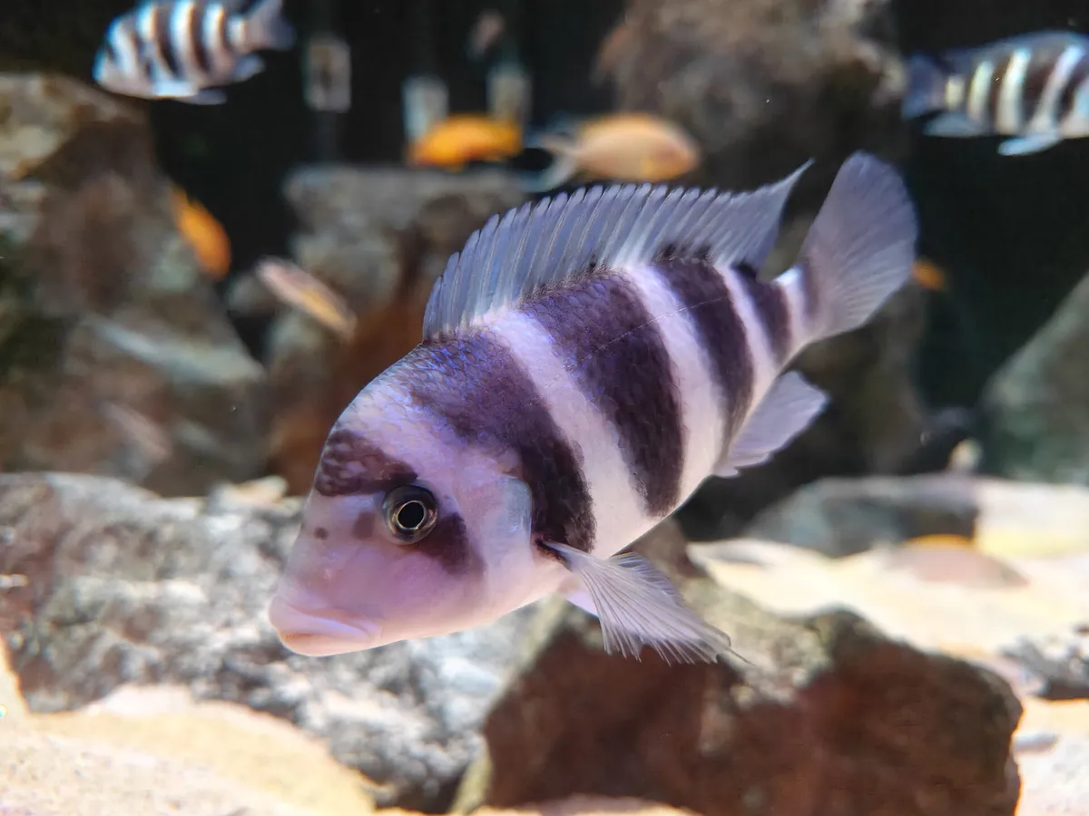 Oceanarium in Saint Petersburg