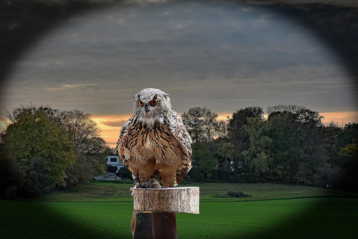 Wildpark Gangelt