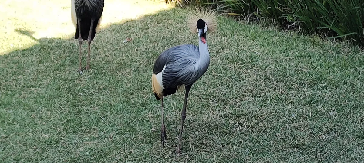 Animalia Reserva
