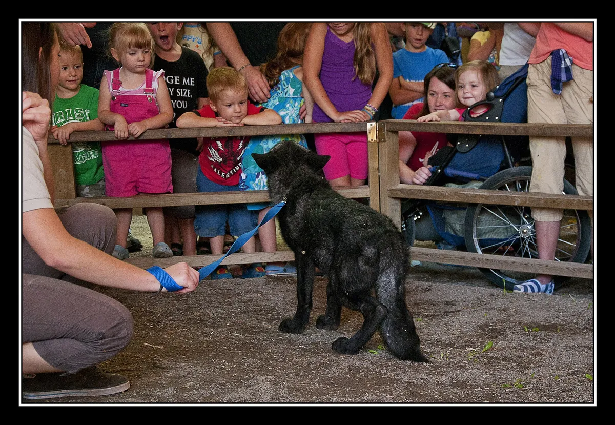 Elmvale Jungle Zoo