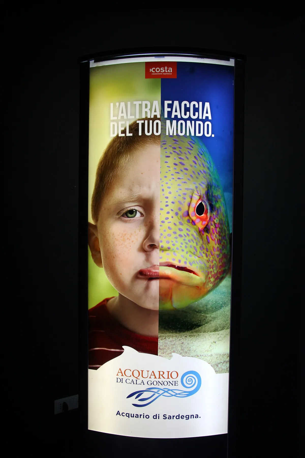 Cala Gonone aquarium