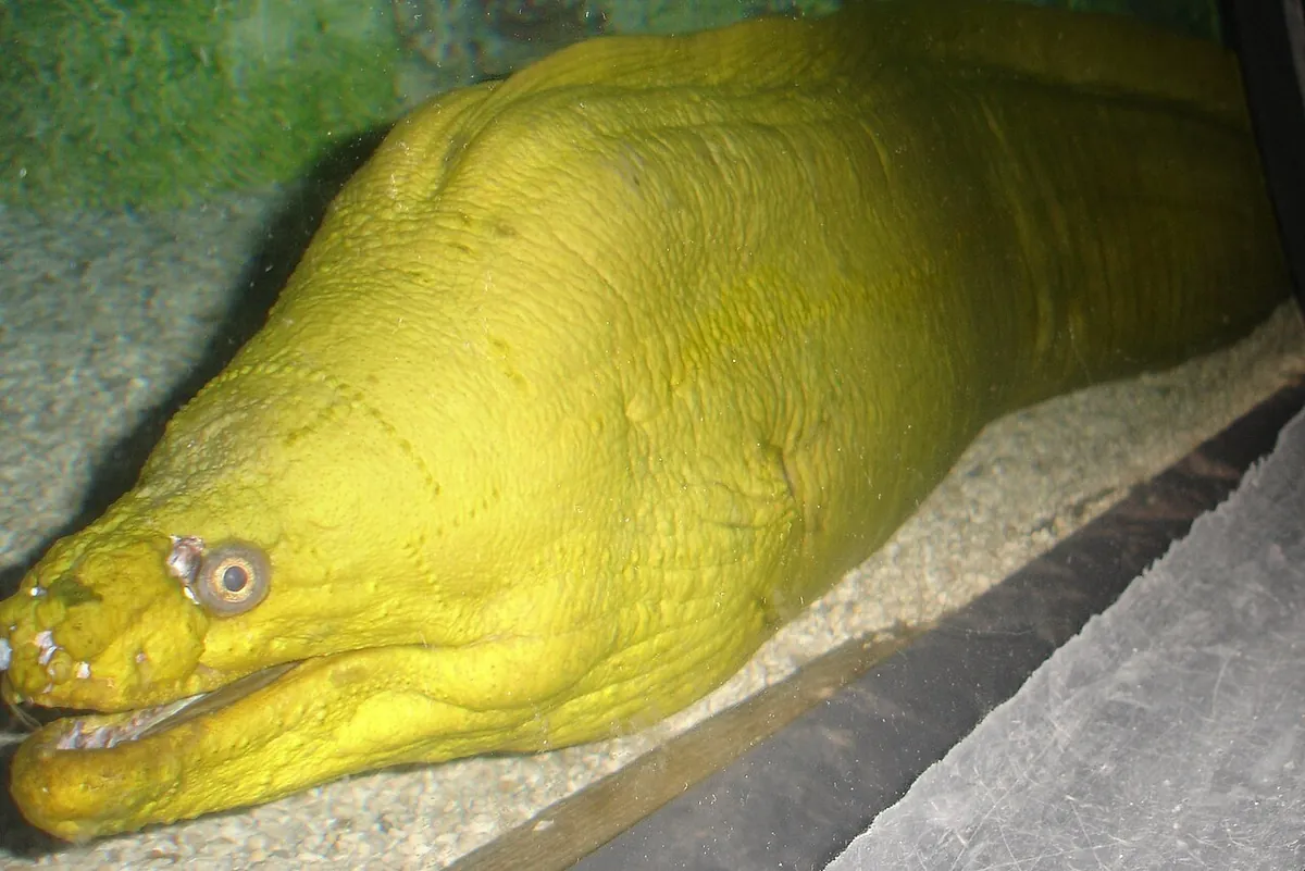 Albuquerque Aquarium