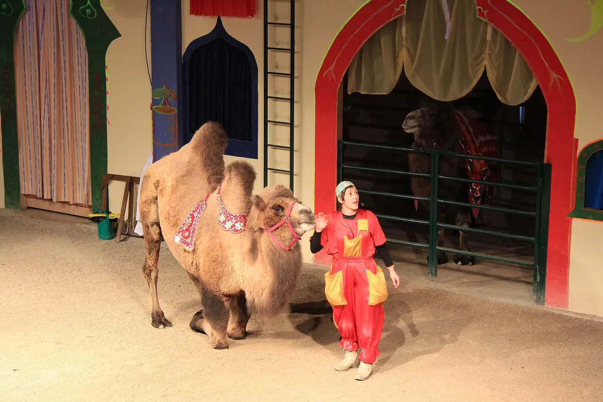 Kameltheater Kernhof