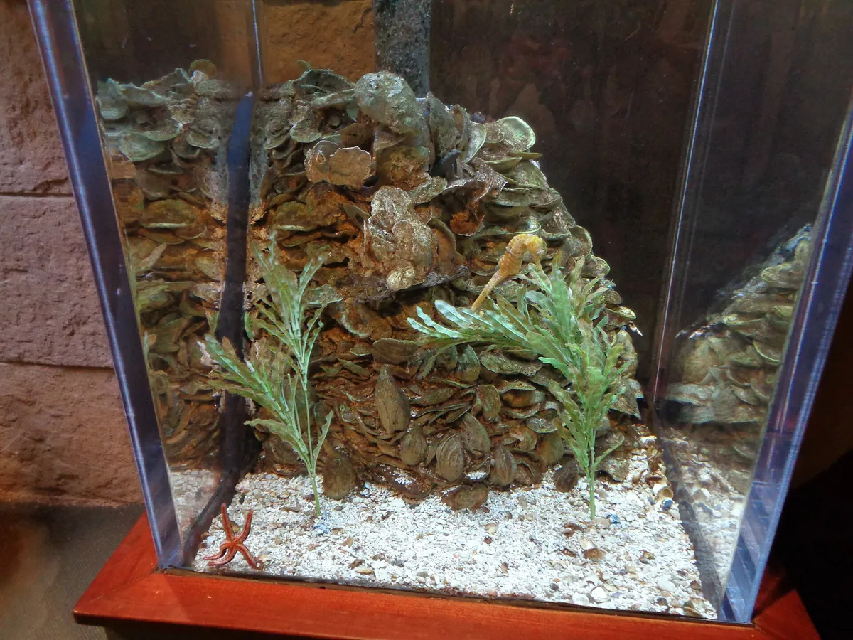 Flint RiverQuarium