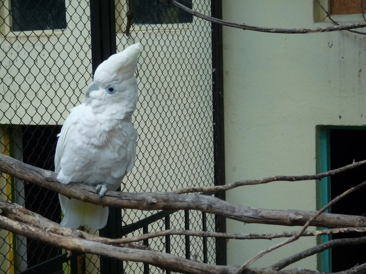 Lovech Zoo