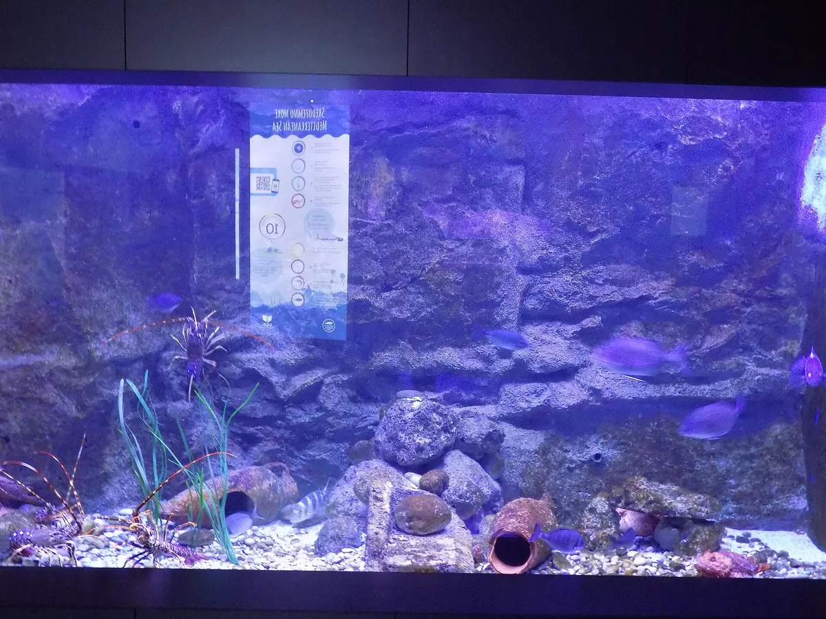 Aquarium Boka