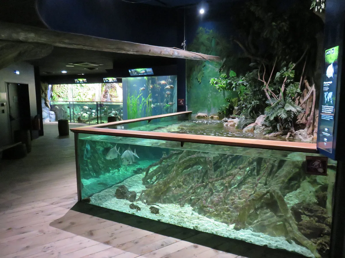 Great Aquarium Saint-Malo