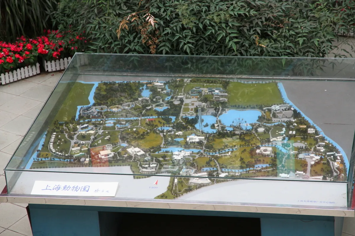 Shanghai Zoo