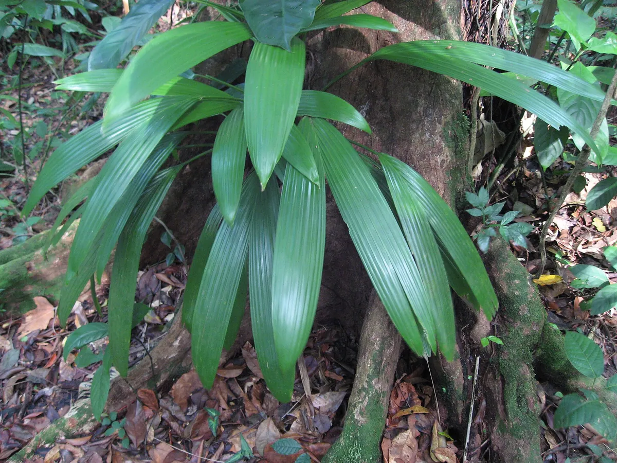 Guadeloupe zoo