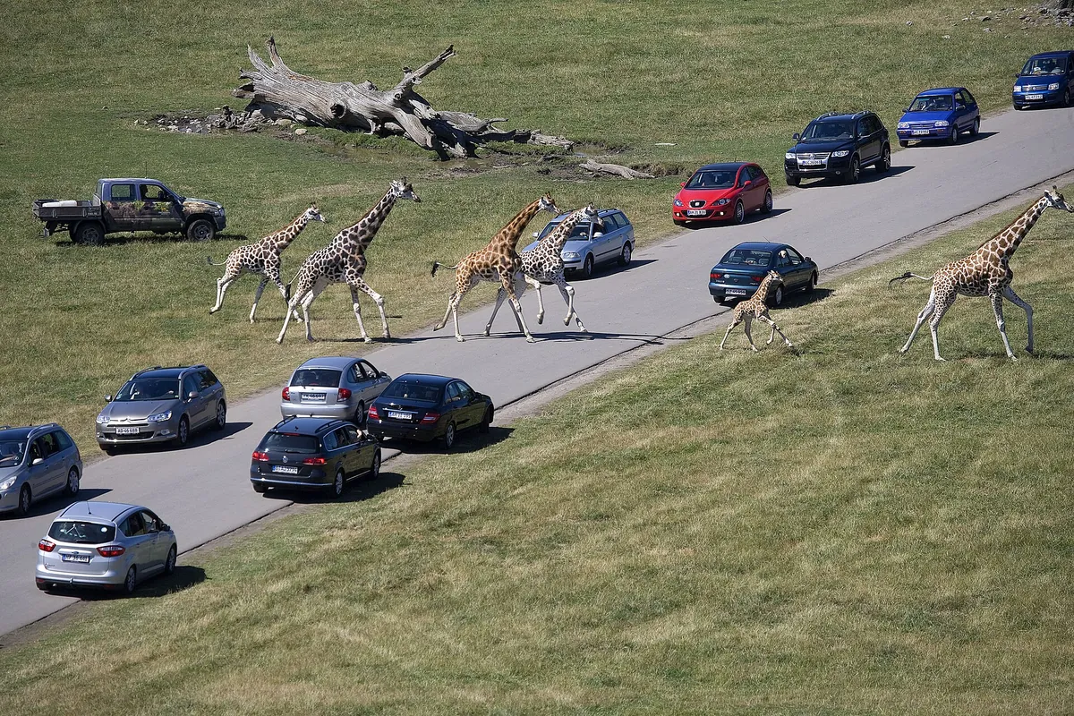 Knuthenborg Park and Safari