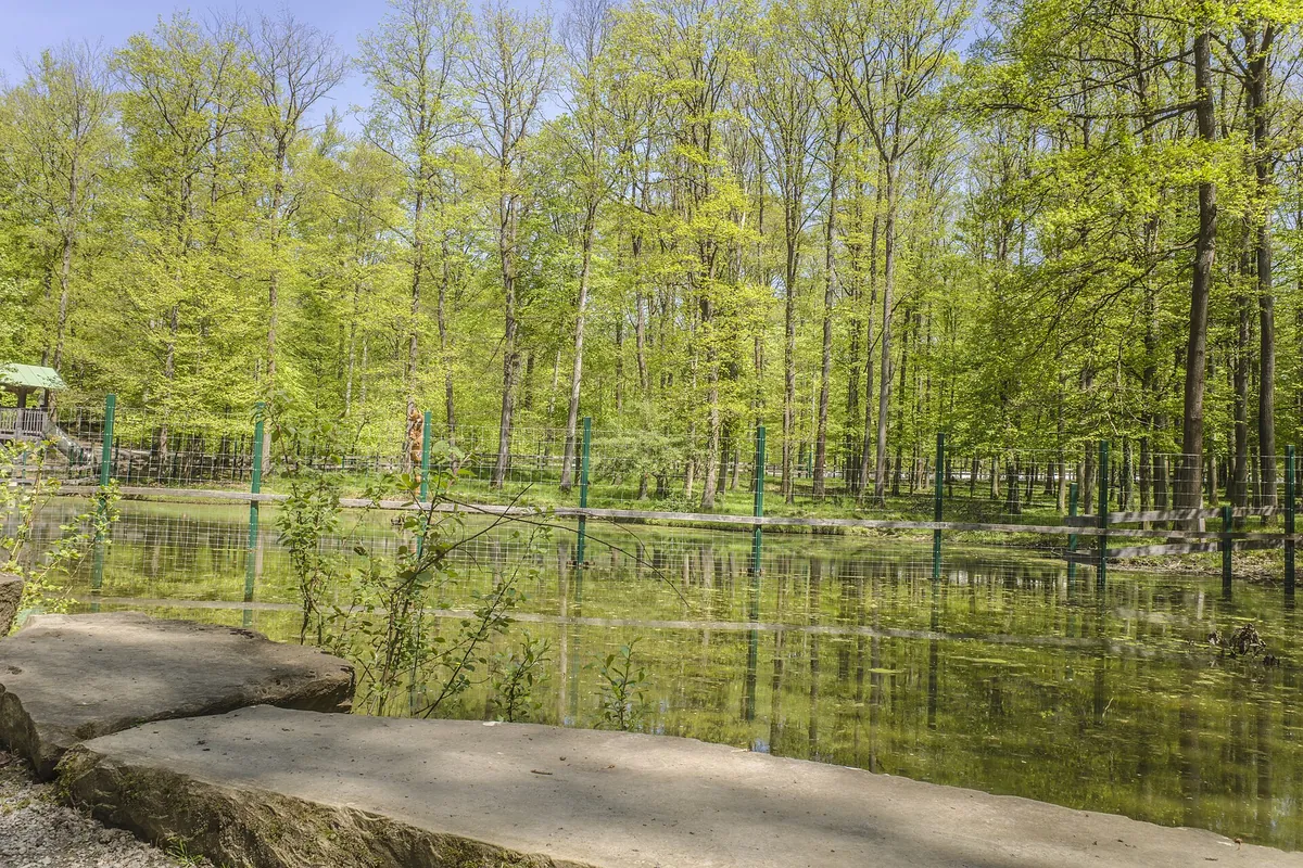 Wildpark An den Eichen