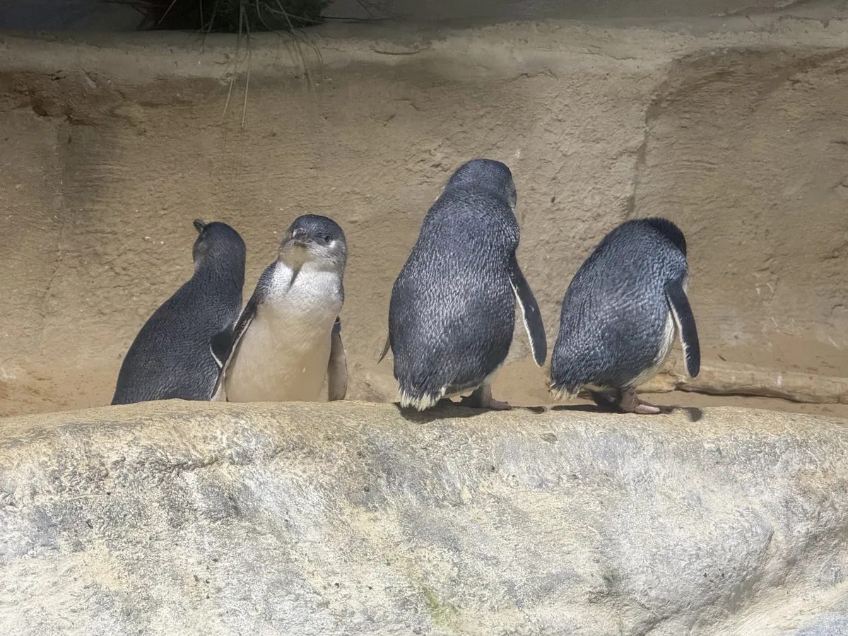 Adventure Aquarium