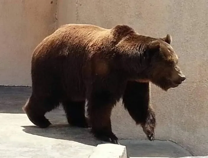Kuwait Zoo
