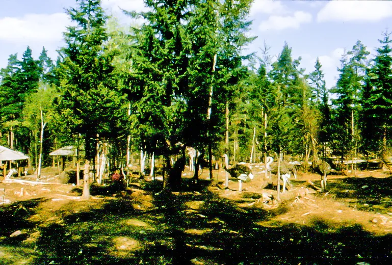 Kolmårdens Djurpark