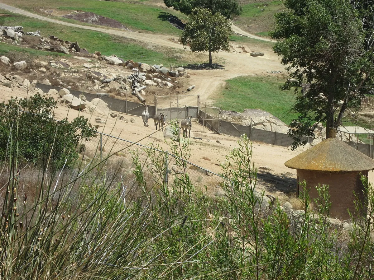 San Diego Zoo Safari Park